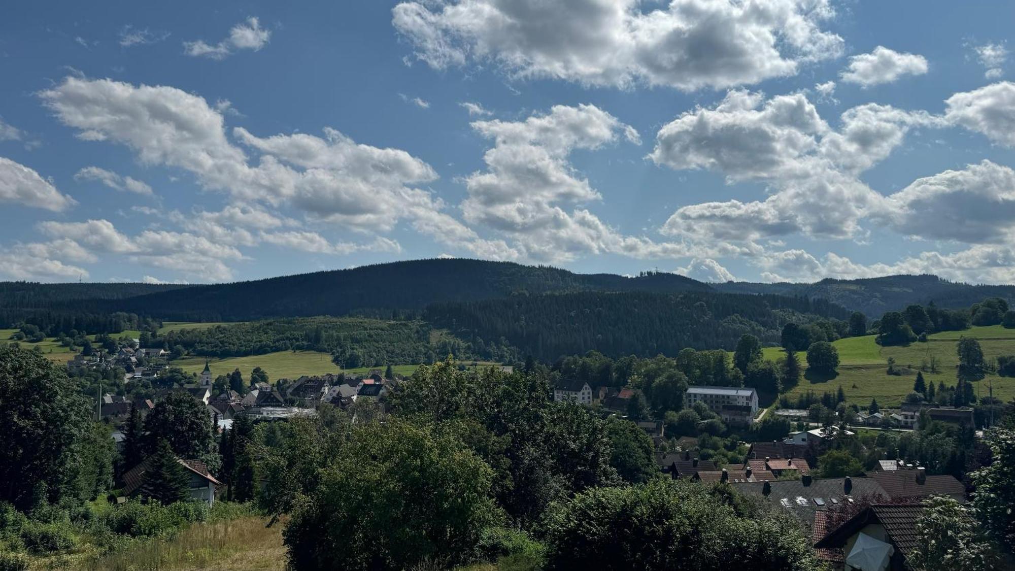 Urlaub Im Schwarzwald Apartment Lenzkirch Bagian luar foto